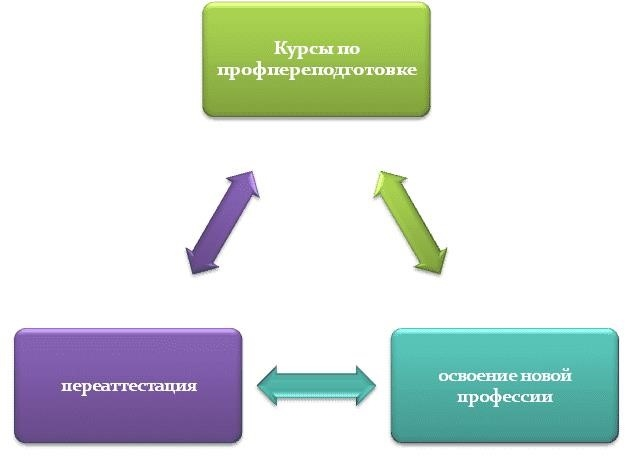 Высшее образование: какие курсы существуют?