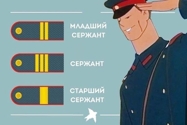 В полиции такая же иерархия.